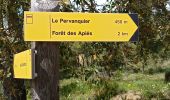 Trail Walking Les Arcs-sur-Argens - st jean les arcs - Photo 3