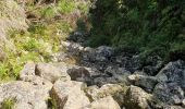 Trail Walking Saint-Benoît - Bassin des hirondelles et cassé de Takamaka  - Photo 11