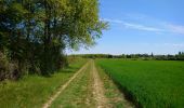 Trail Walking Fondettes - Fondettes - Impro 4 communes - 21.6km 200m 4h40 (30mn) - 2021 04 24 - Photo 4