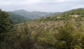 Trail Walking Arpavon - arpavon le poet sigillat par le col s aubomme - Photo 17