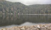 Randonnée Marche Orbey - Vallée des 5 lacs  - Photo 14