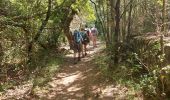 Trail Walking Saint-Maurice-Navacelles - cirque de nacelles moulin de la Foux - Photo 10