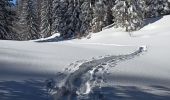 Randonnée Raquettes à neige La Pesse - L'Embossieux - Les Planes - Photo 4