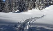 Trail Snowshoes La Pesse - L'Embossieux - Les Planes - Photo 4