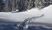 Excursión Raquetas de nieve La Pesse - L'Embossieux - Les Planes - Photo 4