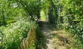 Tour Wandern Court-Saint-Étienne - Bois³ de l'Abbaye - Photo 2