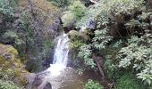 Trail Walking Funchal (Santa Maria Maior) - Monte par le Levada do Bom Sucesso (Rother n°2 inversé) - Photo 8