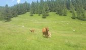 Tour Wandern Roure - Mont Autcellier de Roure au Refuge Longon J1 - Photo 3