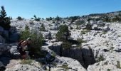 Trail Walking Fillière - LE PARMELAN: ANGLETTAZ - GRANDE GLACIERE - GROTTE DE L'ENFER - LAPIAZ - REFUGE... RETOUR PAR GRAND & PETIT MONTOIR - Photo 6