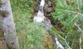 Excursión Senderismo Plancher-les-Mines - Cascades de la Goutte des Saules - Belvédère - Grotte St Antoine - Photo 3