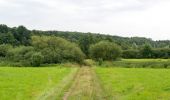 Tour Zu Fuß Steinheim - Rundwanderweg A4 bei Steinheim - Photo 7