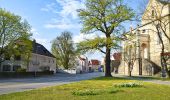 Tocht Te voet Deggendorf - Deggendorf Rundwanderweg Nr.2 - Photo 7