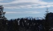 Tour Schneeschuhwandern Autrans-Méaudre en Vercors - 17-03-19  raquettes Autrans - Photo 1