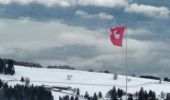 Tocht Sneeuwschoenen Sainte-Croix - Col des Etroits Le Chasseron CAF - Photo 8