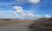 Tocht Stappen Cayeux-sur-Mer - lac de caouaisse . brighton . pointe de hourdel . lac de caouzisse   - Photo 12