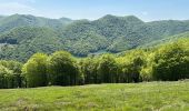 Trail Walking Urrotz - Leurtza  - Photo 1