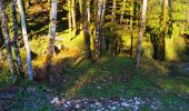 Tour Wandern Ornans - Bonnevaux Le Prieuré rando CAF 3 déc 2019 - Photo 5