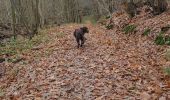 Percorso Marcia Chambourcy - chambourcy 7km - Photo 4