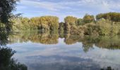 Tocht Stappen Plouvain - Plouvain le Lac Bleu le marais de Biache Saint Waast - Photo 4