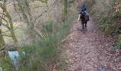 Trail Horseback riding Neufchâteau - Bois d’Ospot - Photo 4