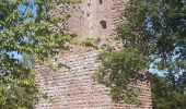 Tour Wandern Zabern - Les 4 châteaux de Saverne - Photo 19