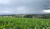 Tour Wandern Saint-Héand - St Heand  - Photo 3