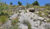 Tocht Stappen Valloire - Valloire - Des Gorges de l'Enfer au Le Poingt Ravier - Photo 19