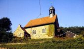 Percorso A piedi Alzenau - Schwarzer Fuchs, Rundwanderweg Hemsbacher Kreuz - Photo 5