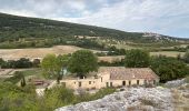 Trail Horseback riding Céreste - Provence 2025 J3 - Photo 1