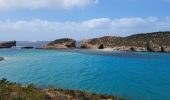 Tour Wandern Għajnsielem - MALTE 2024 / 04 COMINO ISLAND - Photo 20