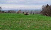 Tour Wandern Maursmünster - Marmoutier - Salenthal - Singrist- Kopp - couvent de Reinacker - Photo 3