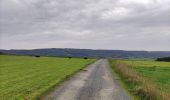 Randonnée Marche Tenneville - Boucle agricole - Le circuit de la ferme des Frênes  - Photo 10