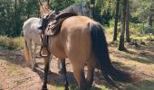 Trail Horseback riding Saint-Quirin - Camping st quirin belles roches abri Klein haut du bon Dieu halmoze lamperstein  - Photo 11