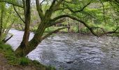 Randonnée Marche Stoumont - stoumont :  aller via corniche , retour via amblève - Photo 7