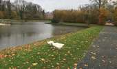 Trail Walking Enghien - 32.626 Enghien - Tour de Ville  - Photo 1