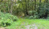 Trail Walking Largny-sur-Automne - en Forêt de Retz_90_09_2021_la Selve - Photo 7