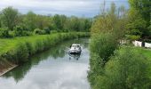 Excursión Senderismo Saint-Aubin-sur-Yonne - St. Aubin sur Yonne 240505 - Photo 3