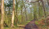 Tocht Stappen Thuin - Balade à l'abbaye d'Aulne - Photo 11