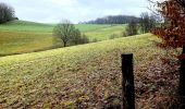 Trail On foot Unknown - Hasenberg Rundweg A3 - Photo 3