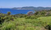 Percorso Marcia La Croix-Valmer - Cap lardier cap Caillat rando - Photo 1