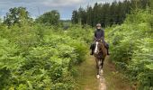 Excursión Paseo ecuestre Neufchâteau - Bois d’Ospot depuis les pompiers - Photo 1