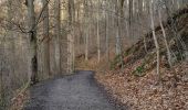 Trail Walking Fléron - Balade de Sainte-Julienne - Photo 5