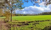 Randonnée Marche Yvoir - dans les bois à Mont - Photo 3