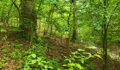 Trail Walking Gedinne - Vencimont 050624 - Photo 1