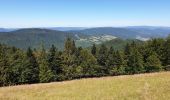 Tour Wandern Markirch - Col des Bagenelles et les deux Brézouard - Photo 5