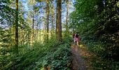 Tocht Stappen Vresse-sur-Semois - Balade à Orchimont - Les Moinils - Photo 9