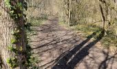 Trail Walking Dinant - Dinant - Anseremme - Photo 1