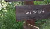 Trail Walking Isola - Boucle de Louch - Photo 6