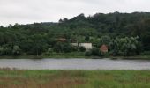 Tour Zu Fuß Unknown - Grüner Oderweg - Photo 8