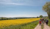 Randonnée Marche Mauves-sur-Huisne - Mauves-sur-Huisne - Rémalard 16 km - Photo 6